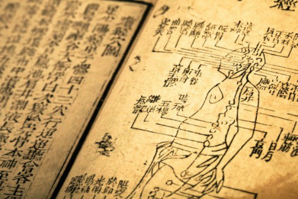Hành trình xuyên suốt lịch sử y học cổ đại và đưa ra lời giải. (Ảnh:ckw2.orz.hm)
